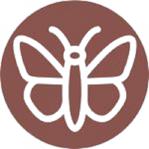 Логотип фонда: Насекомые мира