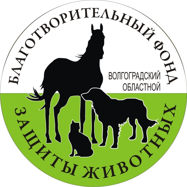 «Волгоградский фонд защиты животных "ДИНО"»